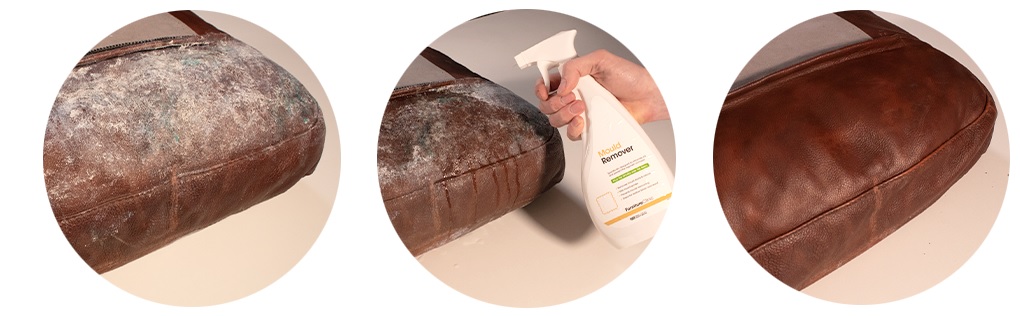 Mould Remover in action